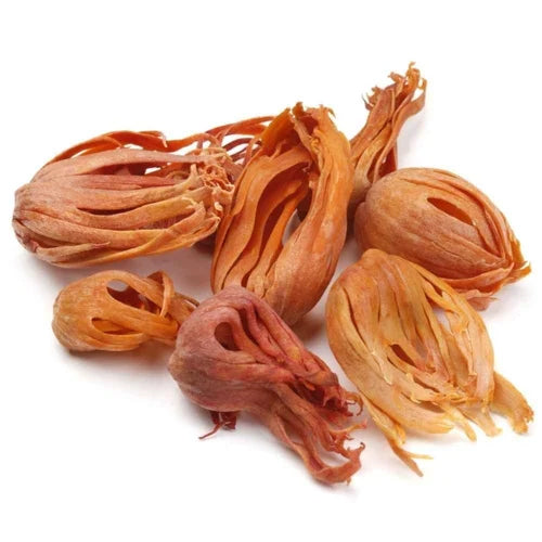 Mace Whole (Javitri / Jautri) – Uses, Benefits, and Culinary Value