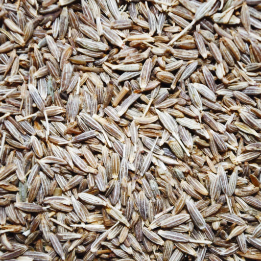Best Pure Cumin Seeds Pakistan | Authentic Aroma & Rich Flavor
