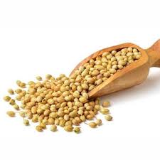 Coriander Seeds Whole (ثابت دھنیا): A Must‑Have Spice for Every Kitchen