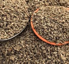 Carom Seeds (اجوائن): Health, Flavor, and Timeless Culinary Tradition