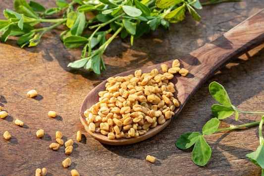 Fenugreek Seeds (Methi Dana) – A Timeless Spice with Powerful Flavor and Health Benefits